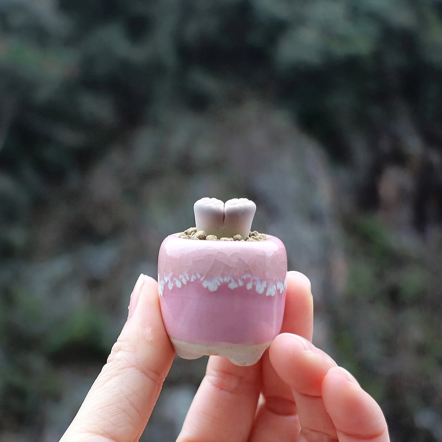 Mini Ceramics Flowerpot